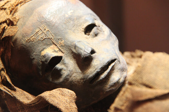 l’Europa mangiava le mummie d’Egitto